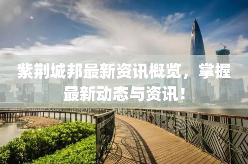 紫荆城邦最新资讯概览，掌握最新动态与资讯！