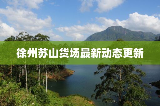 徐州苏山货场最新动态更新