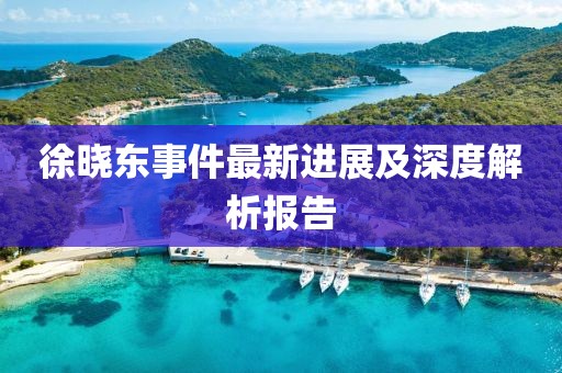 徐晓东事件最新进展及深度解析报告