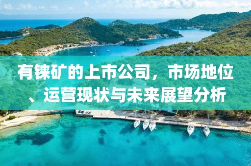 有铼矿的上市公司，市场地位、运营现状与未来展望分析