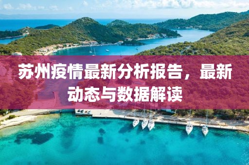苏州疫情最新分析报告，最新动态与数据解读