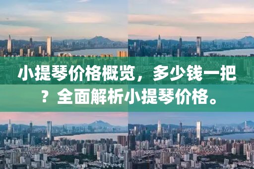 小提琴价格概览，多少钱一把？全面解析小提琴价格。