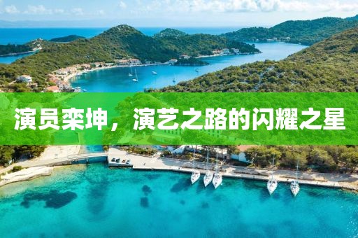 演员栾坤，演艺之路的闪耀之星