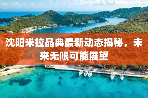 沈阳米拉晶典最新动态揭秘，未来无限可能展望