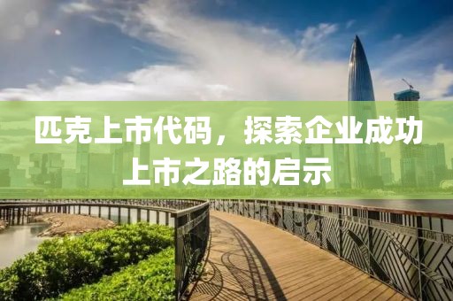 匹克上市代码，探索企业成功上市之路的启示