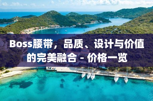 Boss腰带，品质、设计与价值的完美融合 - 价格一览