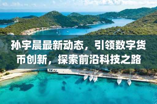 孙宇晨最新动态，引领数字货币创新，探索前沿科技之路