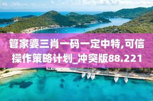 管家婆三肖一码一定中特,可信操作策略计划_冲突版88.221