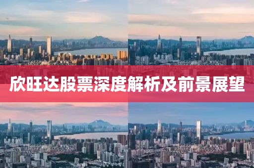 欣旺达股票深度解析及前景展望