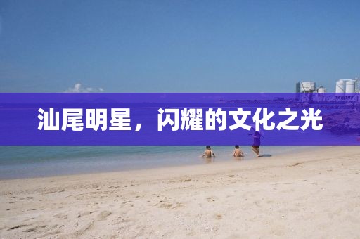 汕尾明星，闪耀的文化之光