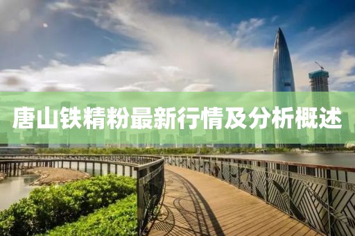 唐山铁精粉最新行情及分析概述