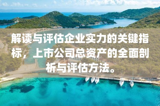 解读与评估企业实力的关键指标，上市公司总资产的全面剖析与评估方法。