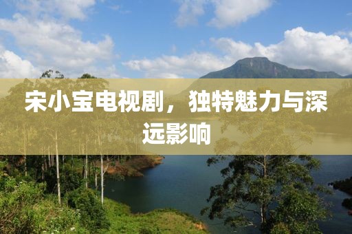 宋小宝电视剧，独特魅力与深远影响