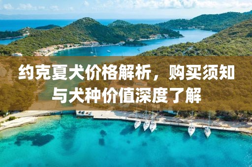 两把枪闯天下 第10页