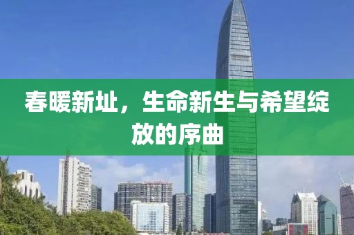 魅影风随 第9页