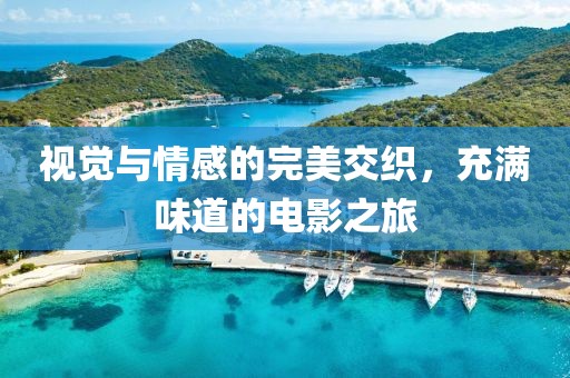 视觉与情感的完美交织，充满味道的电影之旅