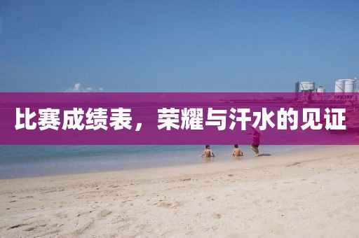 比赛成绩表，荣耀与汗水的见证
