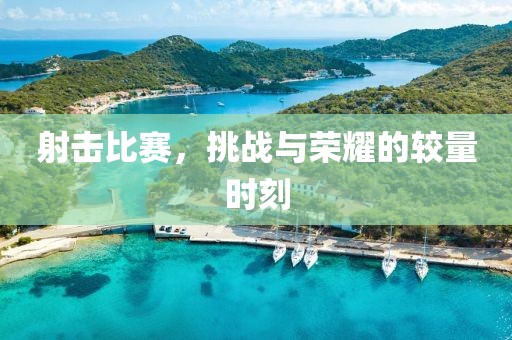 射击比赛，挑战与荣耀的较量时刻