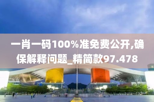 一肖一码100%准免费公开,确保解释问题_精简款97.478