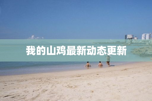 我的山鸡最新动态更新