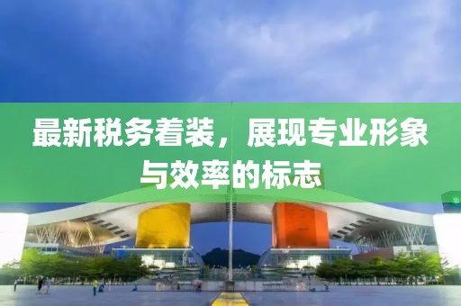 最新税务着装，展现专业形象与效率的标志