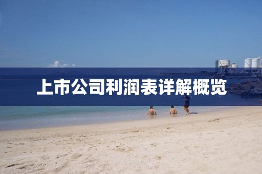上市公司利润表详解概览