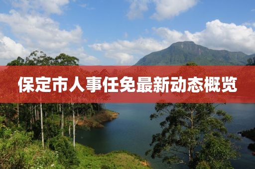 保定市人事任免最新动态概览