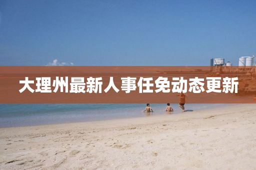 大理州最新人事任免动态更新