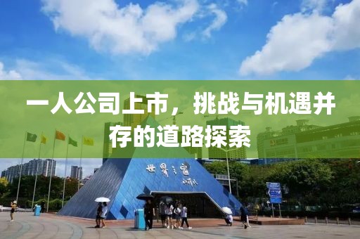 一人公司上市，挑战与机遇并存的道路探索