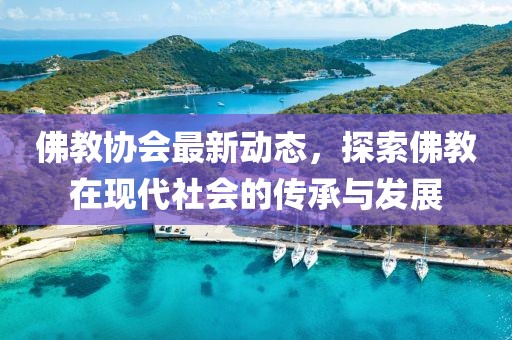 佛教协会最新动态，探索佛教在现代社会的传承与发展