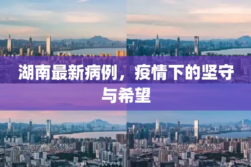 湖南最新病例，疫情下的坚守与希望