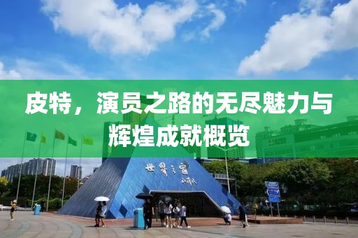 皮特，演员之路的无尽魅力与辉煌成就概览