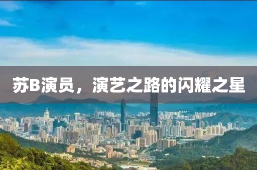 苏B演员，演艺之路的闪耀之星