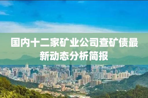 国内十二家矿业公司查矿债最新动态分析简报