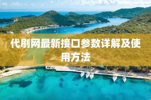 代刷网最新接口参数详解及使用方法