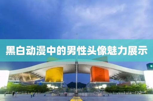 黑白动漫中的男性头像魅力展示