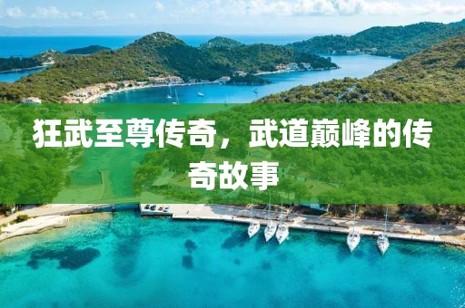 狂武至尊传奇，武道巅峰的传奇故事
