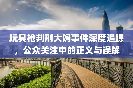 玩具枪判刑大妈事件深度追踪，公众关注中的正义与误解