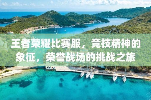 王者荣耀比赛服，竞技精神的象征，荣誉战场的挑战之旅