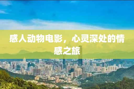 感人动物电影，心灵深处的情感之旅