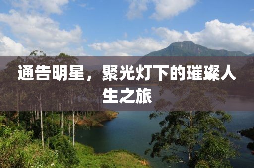 通告明星，聚光灯下的璀璨人生之旅