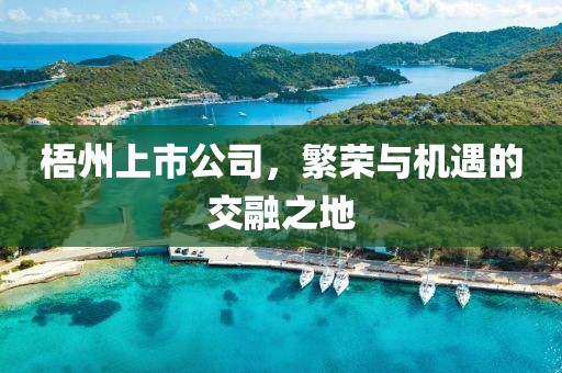 梧州上市公司，繁荣与机遇的交融之地