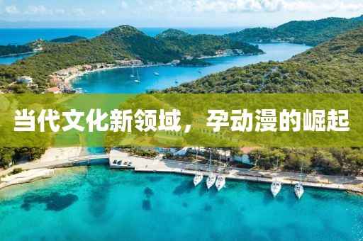 当代文化新领域，孕动漫的崛起