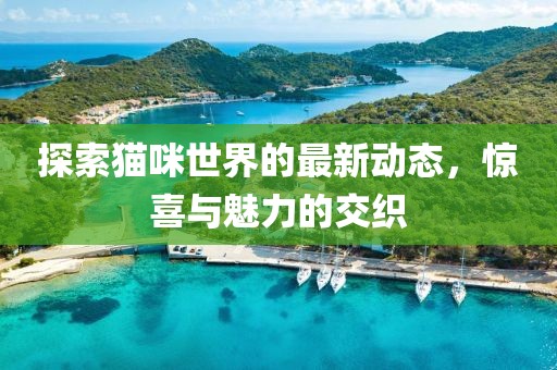 探索猫咪世界的最新动态，惊喜与魅力的交织