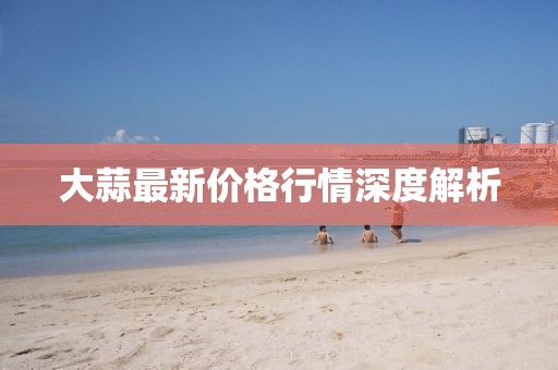 大蒜最新价格行情深度解析