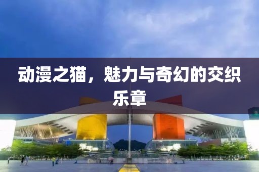 动漫之猫，魅力与奇幻的交织乐章