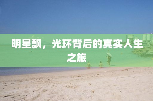 明星飘，光环背后的真实人生之旅