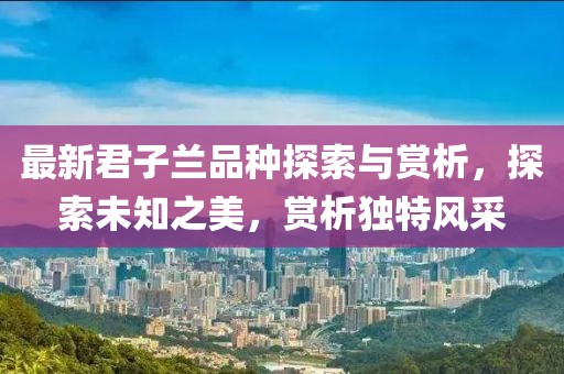 最新君子兰品种探索与赏析，探索未知之美，赏析独特风采