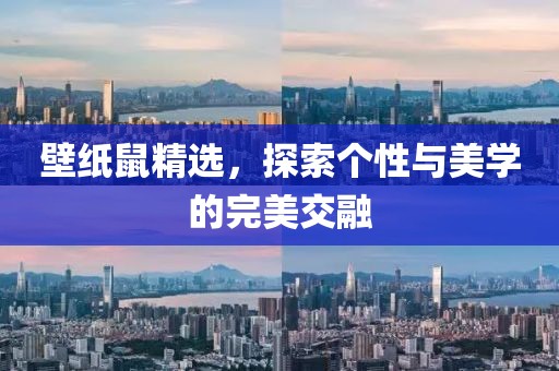 壁纸鼠精选，探索个性与美学的完美交融