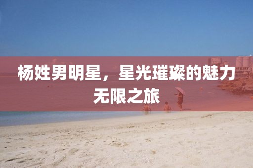 杨姓男明星，星光璀璨的魅力无限之旅
